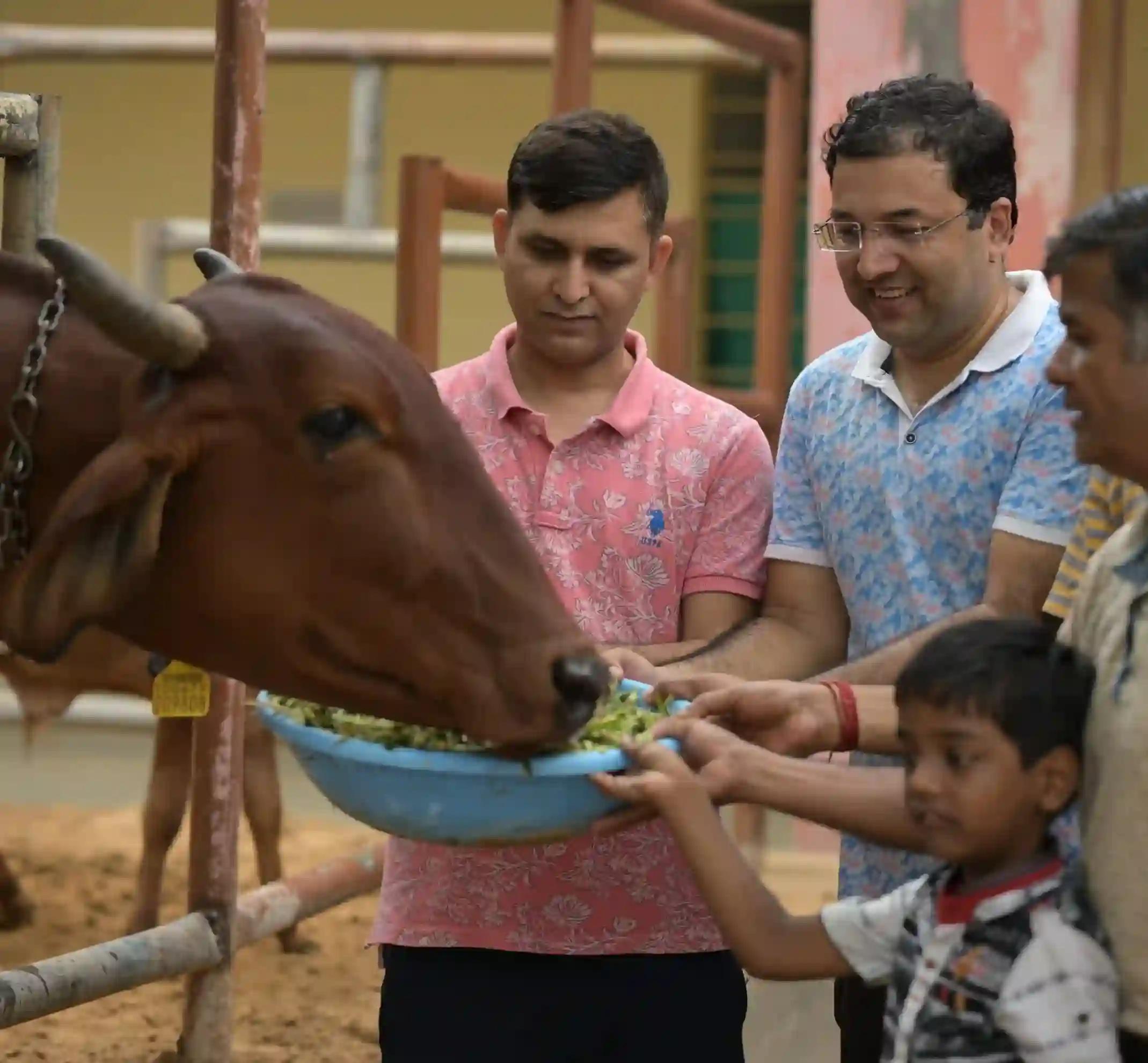 Gau seva